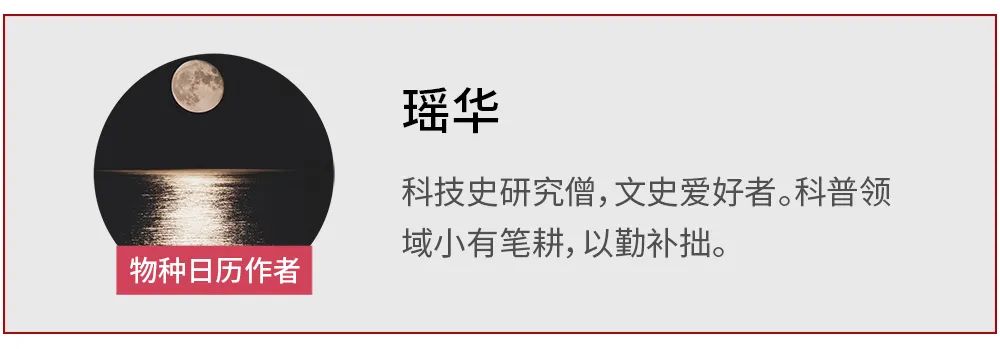 小龙女|小龙女穿的树皮衣，真的能做出来！