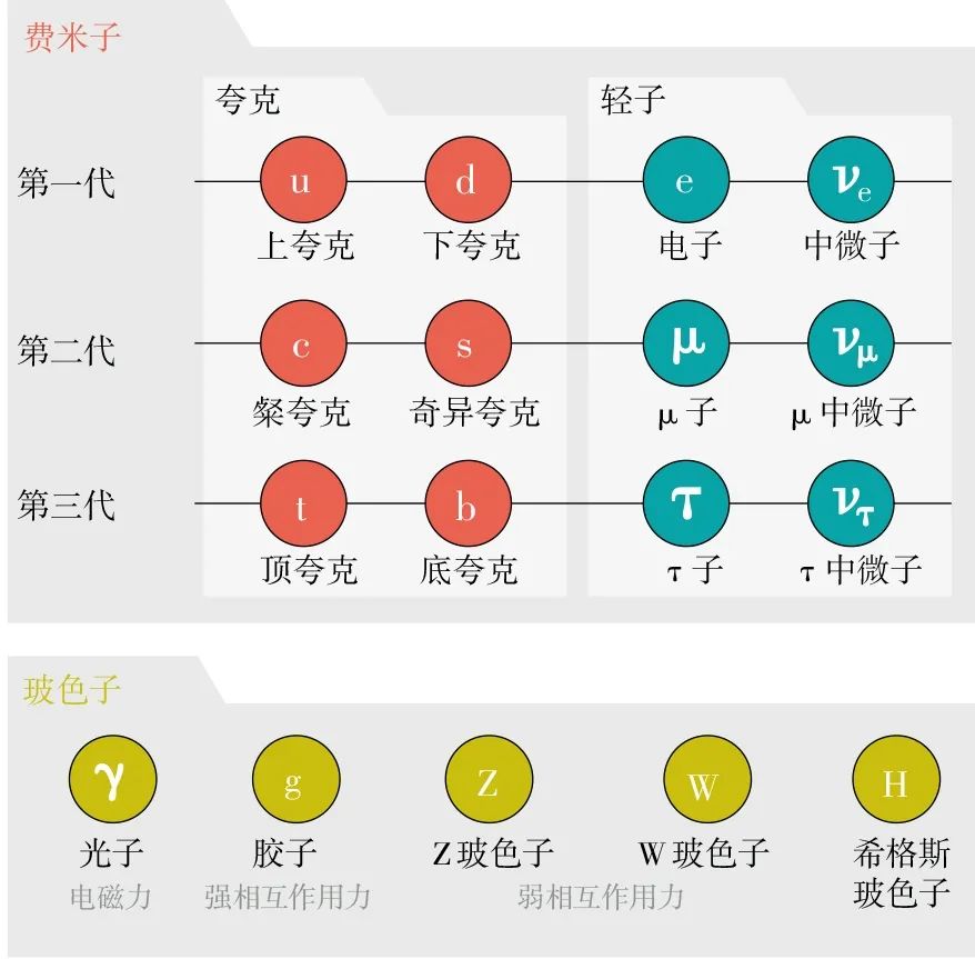 夸克|宇宙万物的诞生，都要感谢这个未解之谜