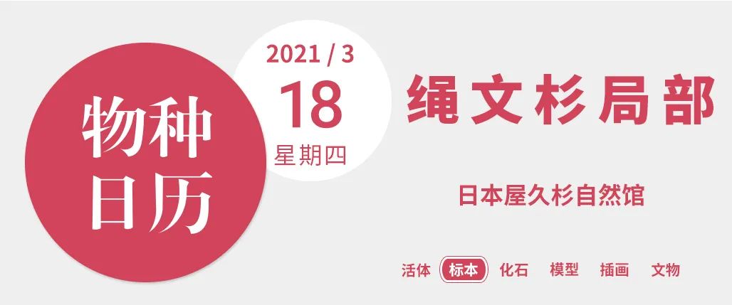 |长得丑不光能保命，还能活到两千岁