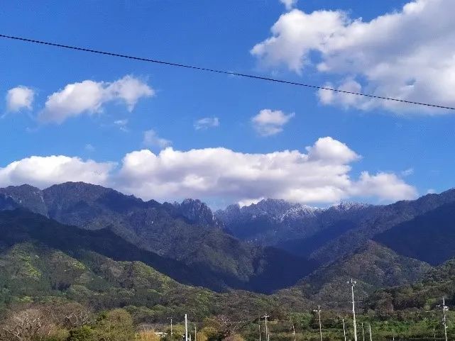 |长得丑不光能保命，还能活到两千岁
