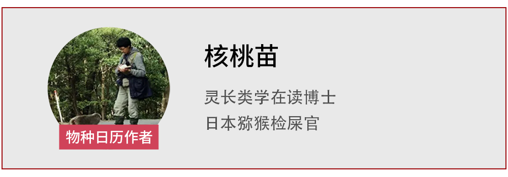 |长得丑不光能保命，还能活到两千岁