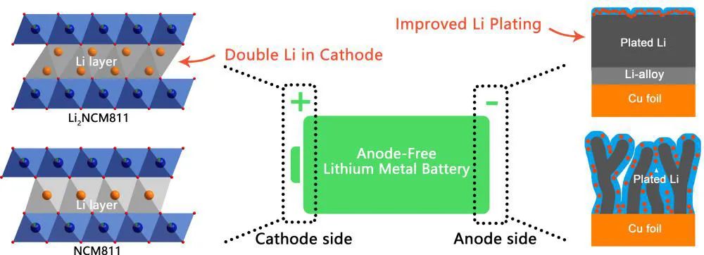 电池|进展 | 高能量密度无负极锂金属电池研究进展