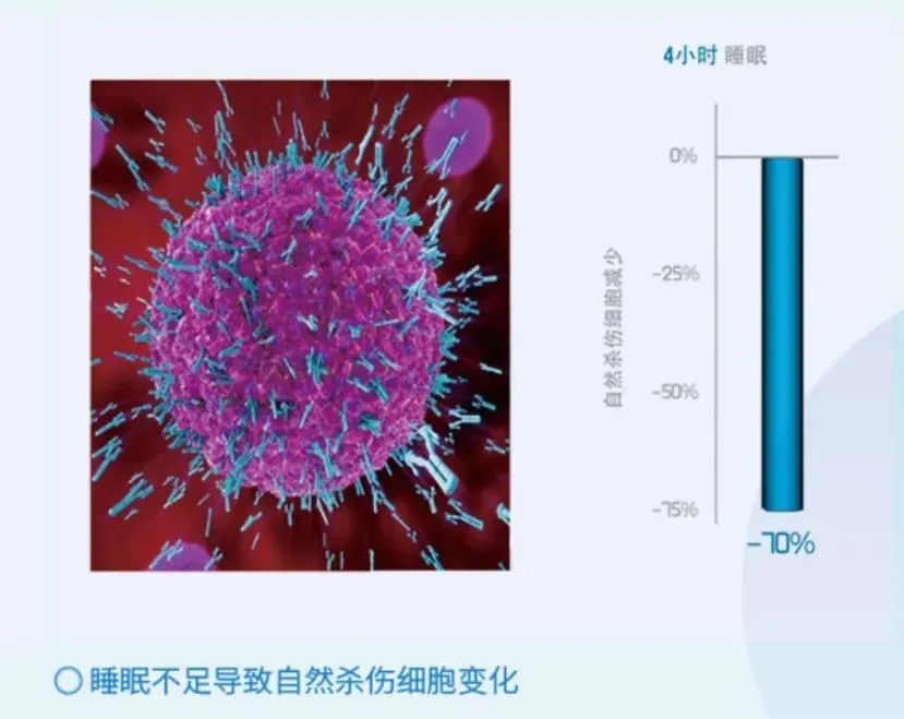 睡眠|春困秋乏夏瞌睡，今天又是要好好睡觉的一天~