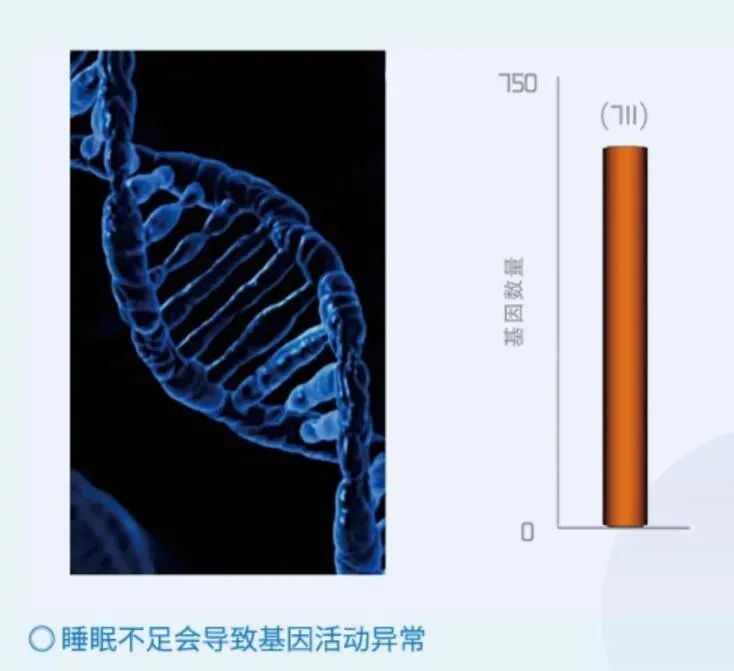 睡眠|春困秋乏夏瞌睡，今天又是要好好睡觉的一天~