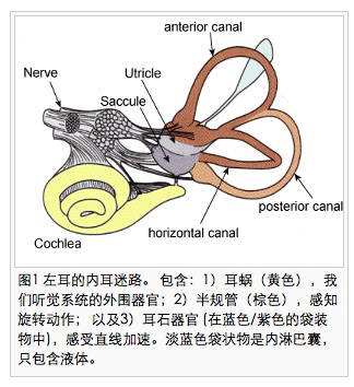 眩晕症|3D游戏玩吐了：好游戏，我不配拥有