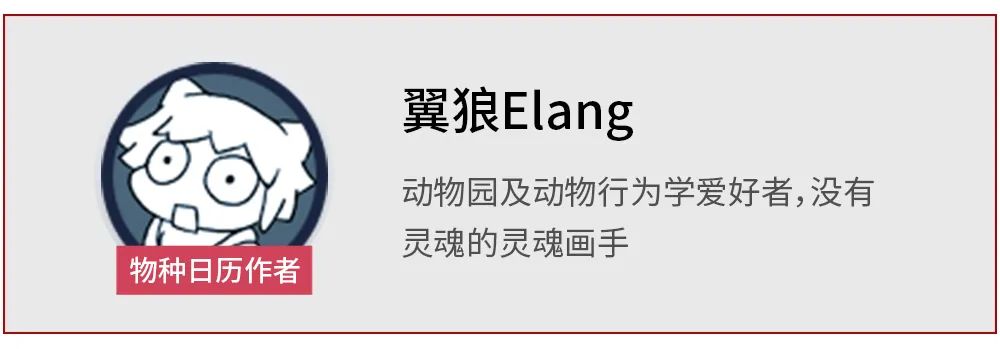 番茄|番茄越来越没味了，是用太多化肥的锅吗？