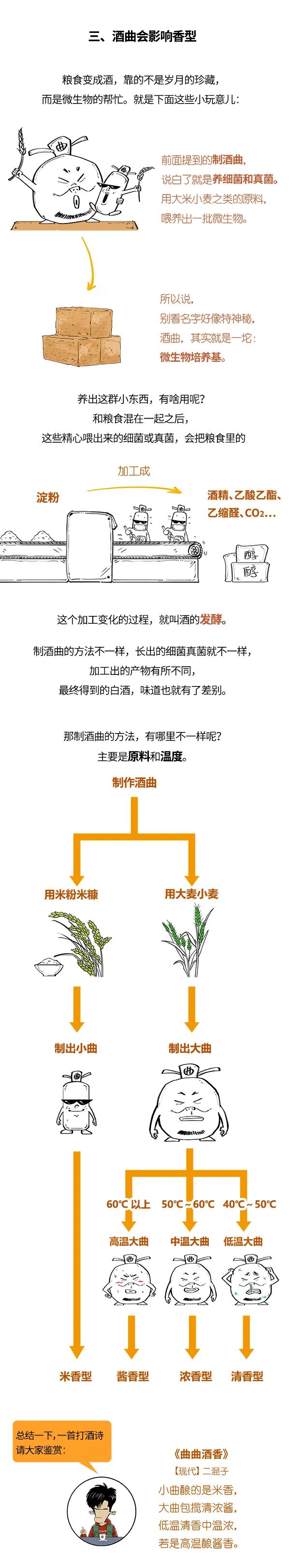 |酱香浓香都搞不懂，长大怎么在酒桌吹牛？