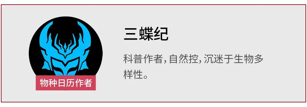 植物|长在海水里的树，为什么没有腌成咸菜呢？