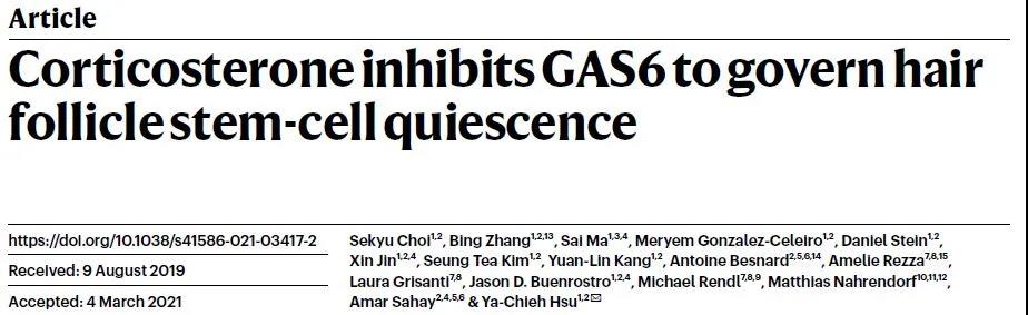 科学|秃头星人有救了！科学家在小鼠身上成功逆转了压力导致的“全秃”