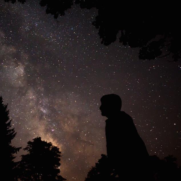 天文|鸟类和观星有什么关系？事实证明，有很多
