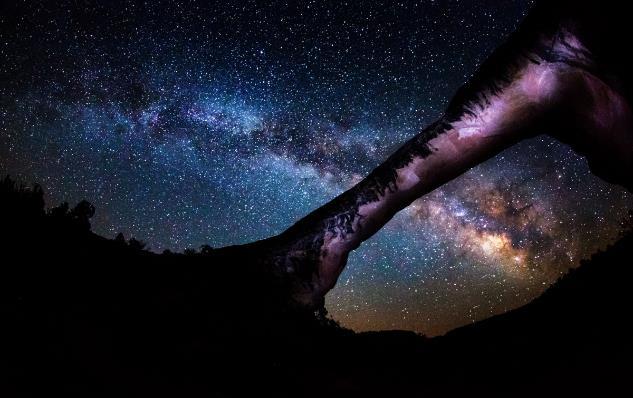 天文|鸟类和观星有什么关系？事实证明，有很多