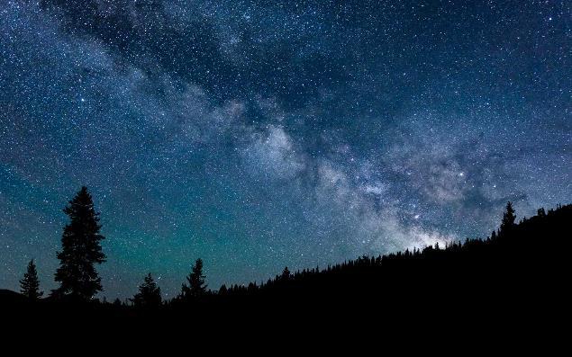 天文|鸟类和观星有什么关系？事实证明，有很多