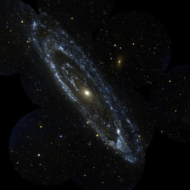 天文|鸟类和观星有什么关系？事实证明，有很多