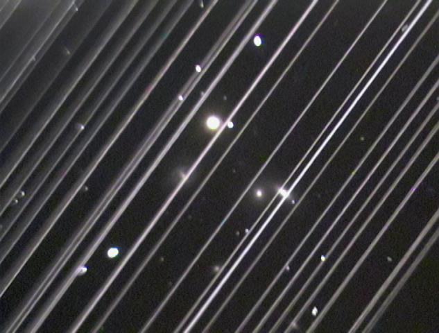 天文|鸟类和观星有什么关系？事实证明，有很多