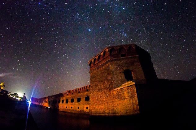天文|鸟类和观星有什么关系？事实证明，有很多