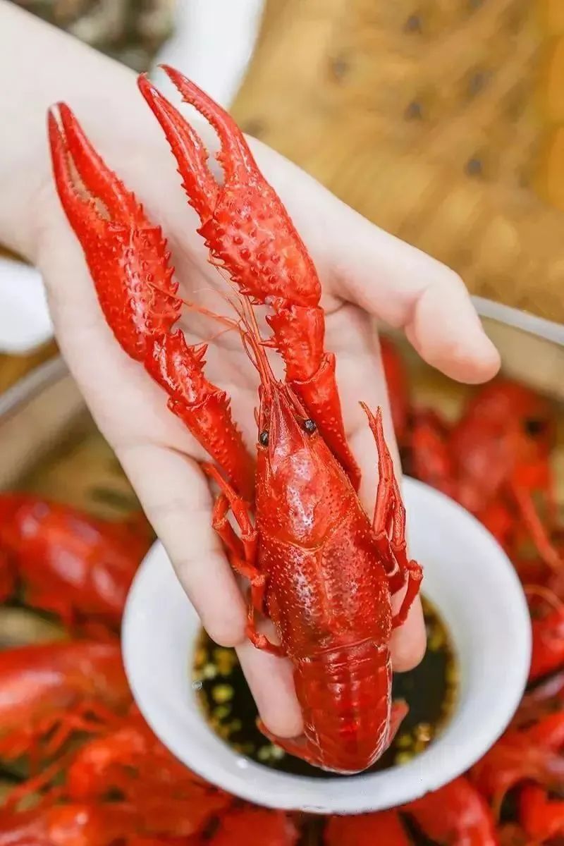 辟谣小龙虾体内重金属含量超标不能食用