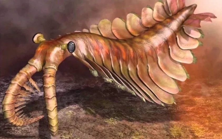 古生物|数码宝贝中竟藏着这么多古生物