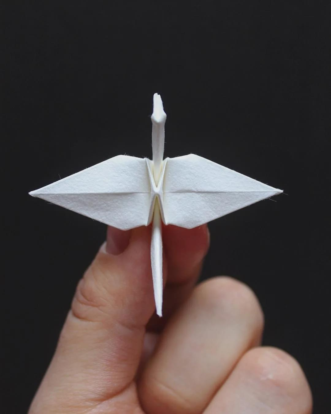 折纸|“折纸” 也能发 Nature？