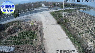 安全带|一个能救命的简单动作，70% 的中国人却忽略了