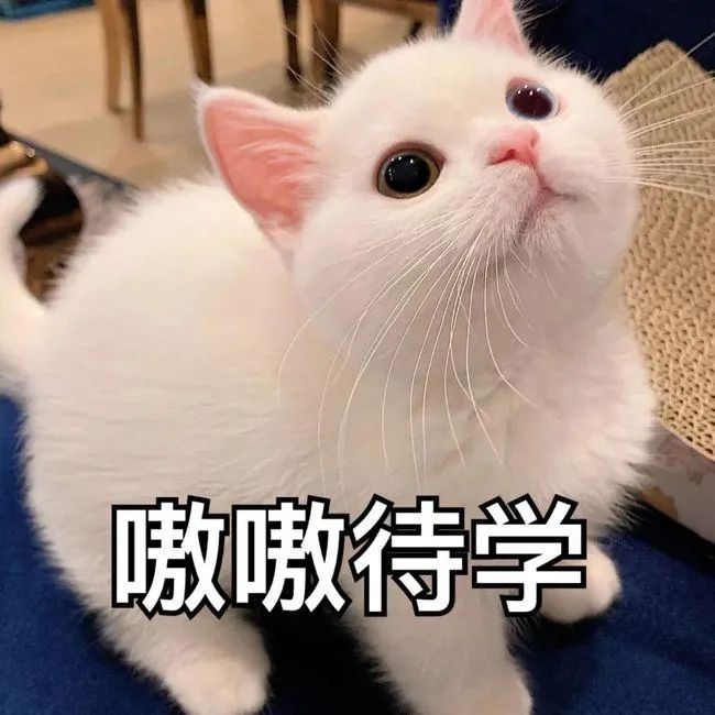 生活|做不到熟蛋返生，来试试漂浮生蛋 | 正经玩