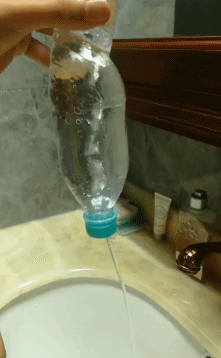 生活|做不到熟蛋返生，来试试漂浮生蛋 | 正经玩