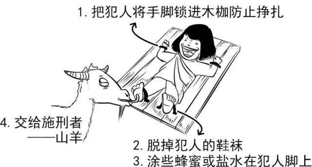 生活|《 科 学 挠 痒 痒 》