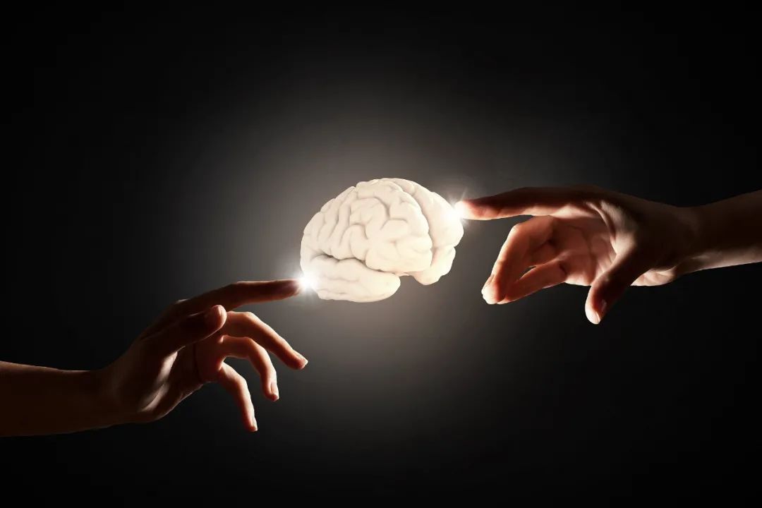 张一鸣|黄峥走了，张一鸣也走了，生命科学才是互联网大佬的归宿？