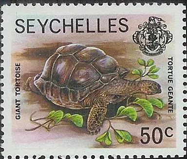 象龟|500斤的巨龟,曾经被人类当成“活罐头”