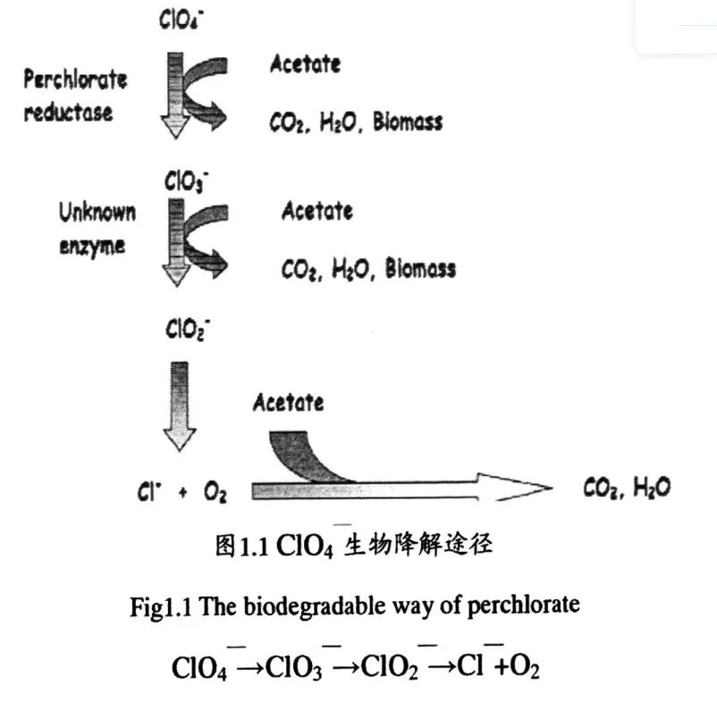 火星大气|莪們哋姃蒤是星辰大(zhong)海(cai)