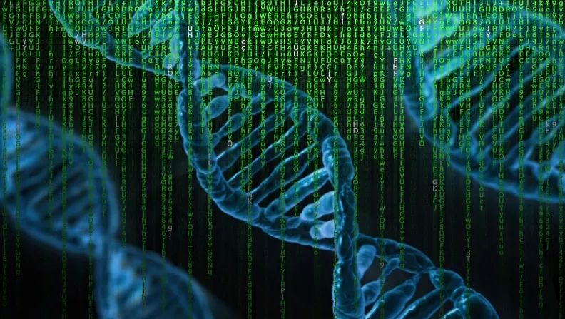 dna|祖传的双链DNA，反正闲着也是闲着，不如拿来装书、存电影？