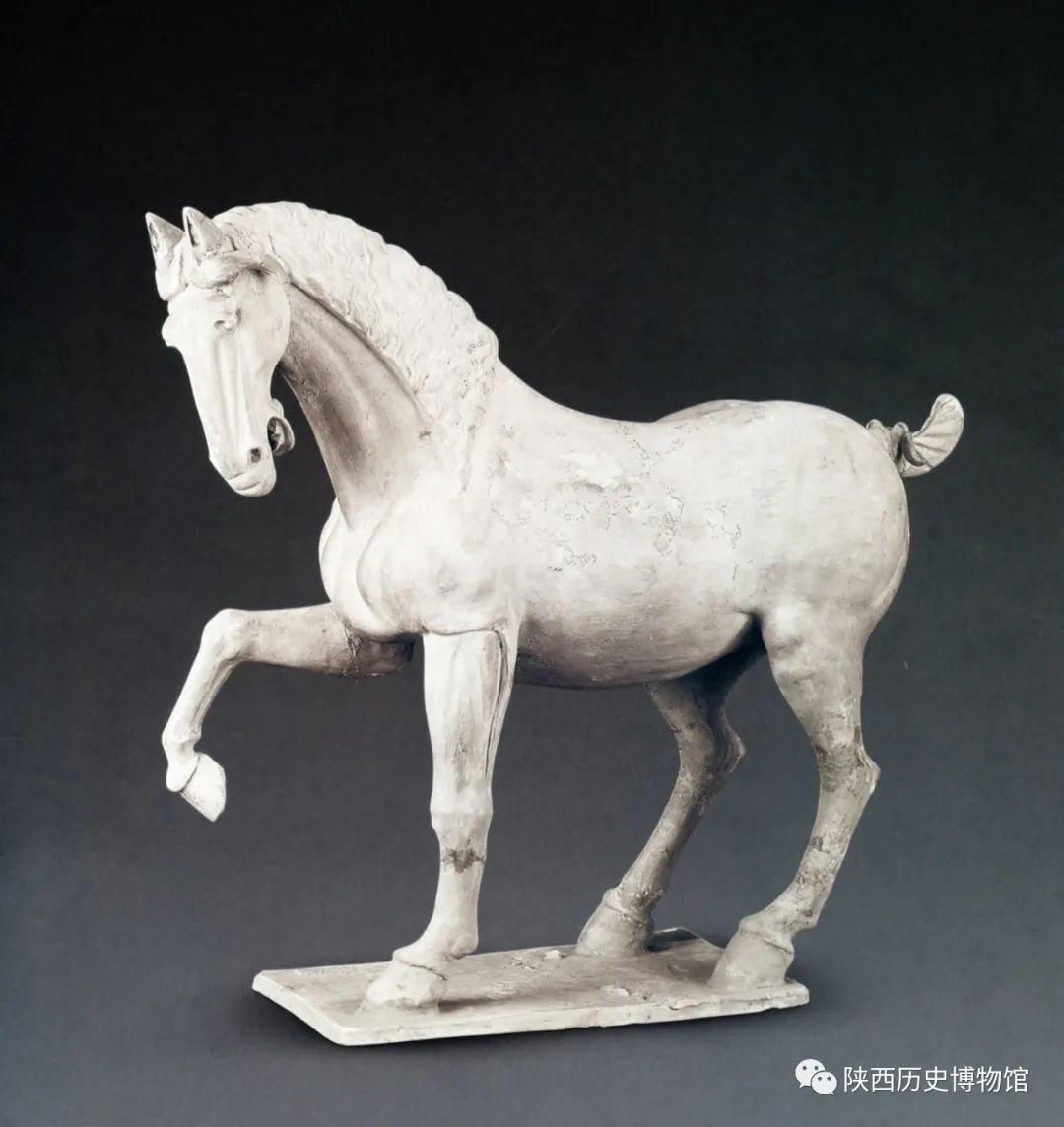 马是一种贵族动物,在中国古代社会中有着崇高的地位.