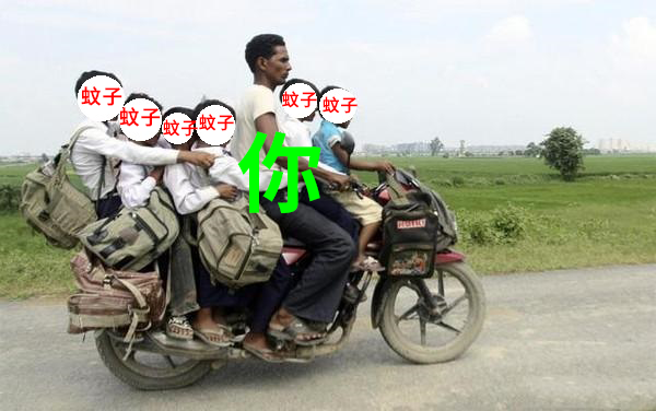 生活|到底住几楼，才能没蚊子？