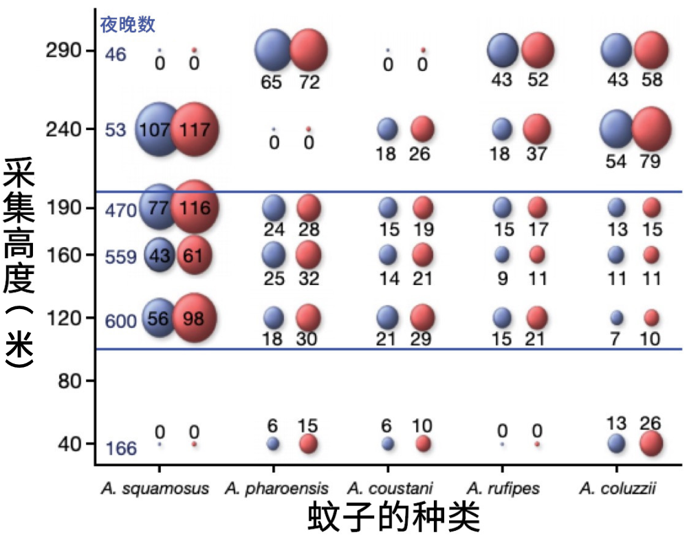 生活|到底住几楼，才能没蚊子？