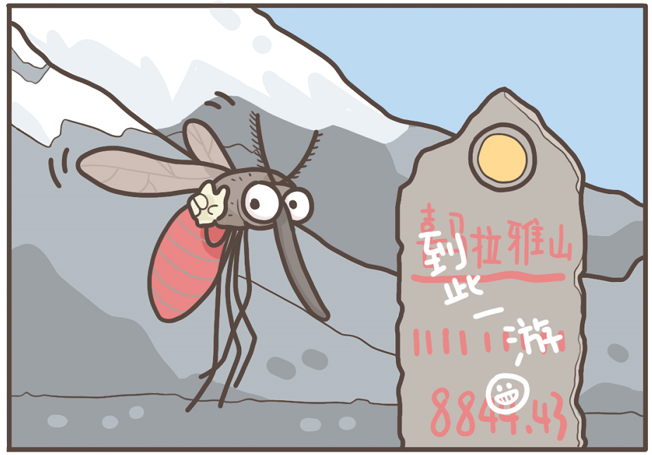 生活|到底住几楼，才能没蚊子？