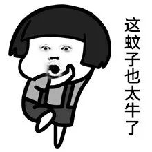 生活|到底住几楼，才能没蚊子？