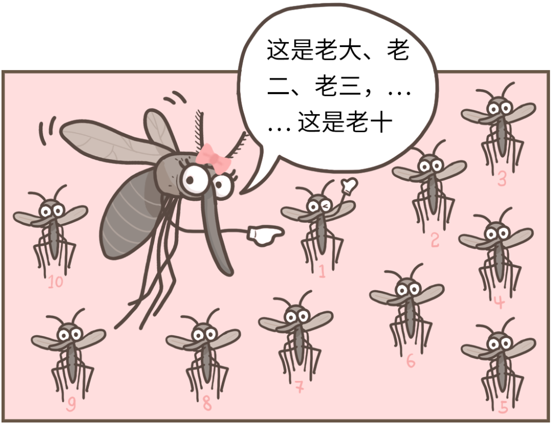 生活|到底住几楼，才能没蚊子？