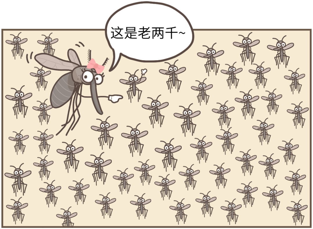 生活|到底住几楼，才能没蚊子？