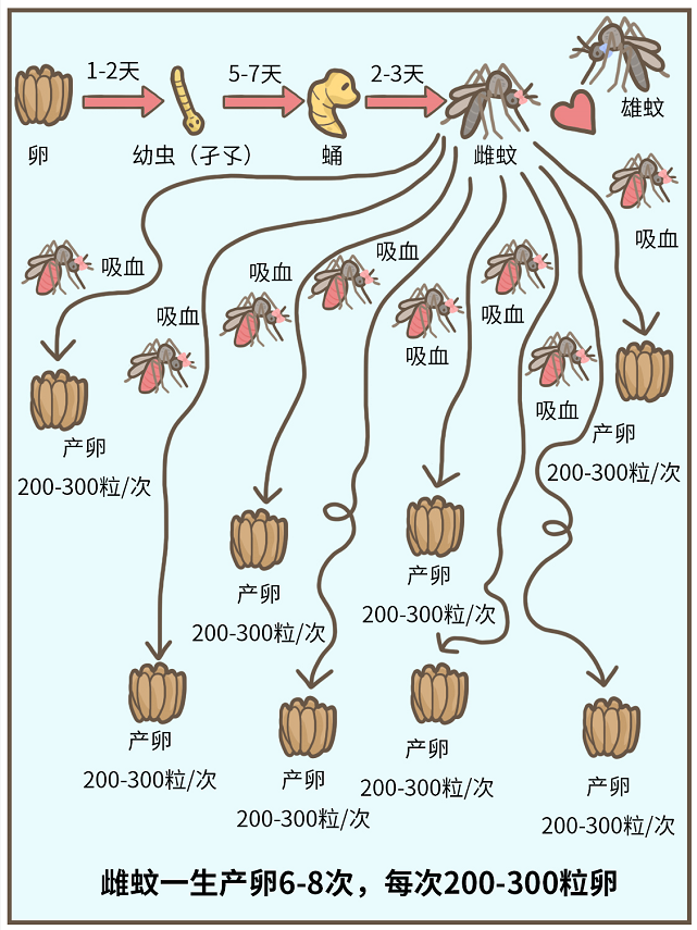 生活|到底住几楼，才能没蚊子？