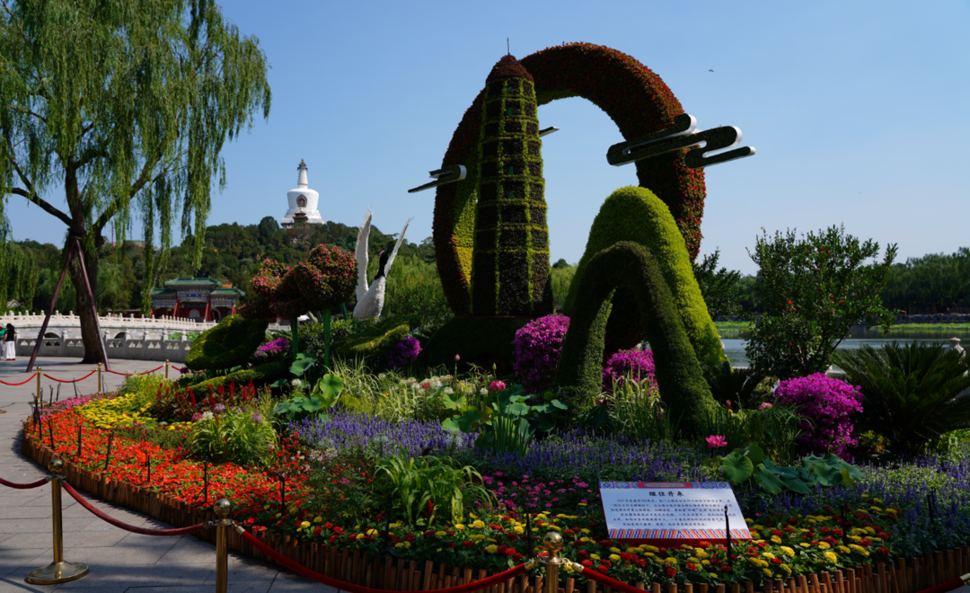 花团锦簇迎华诞北京市属公园21组主题花坛摆放完成