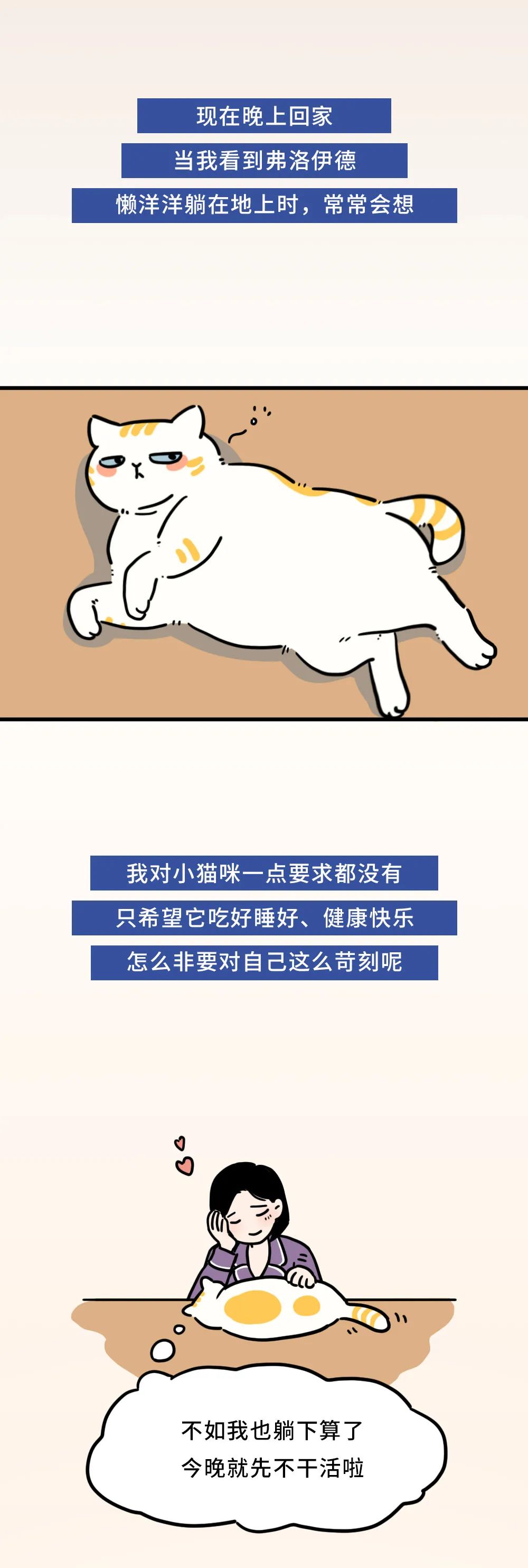 |只有这个人，值得你无条件去讨好