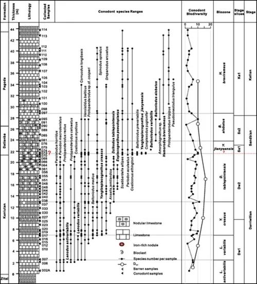 奥陶纪|华南下扬子区奥陶纪综合地层学研究新进展