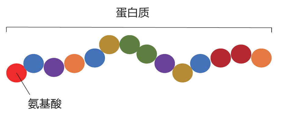 生物化学|赠书 | GNN 模型在生物化学和医疗健康中的典型应用