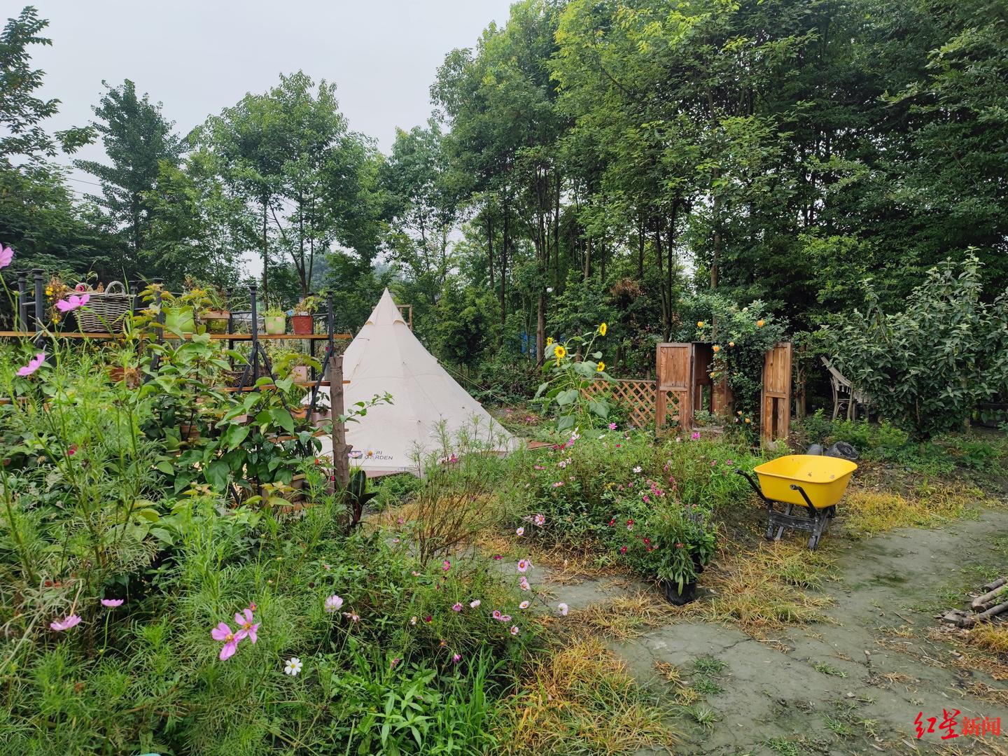 赵倩走在农场里,如数家珍,"这一块是我们的私家花园展示区,向阳类型的