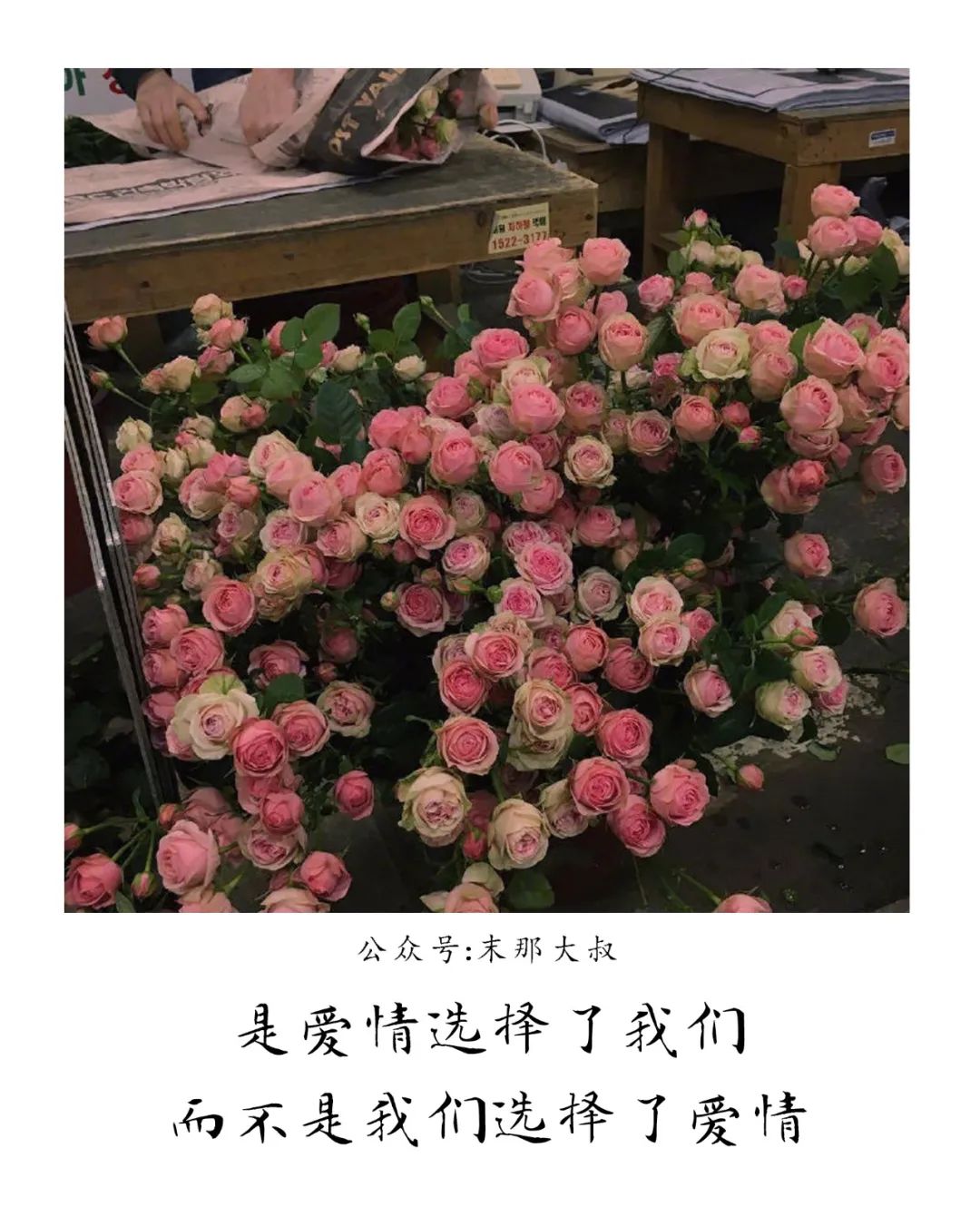 67南墙已撞故事已忘