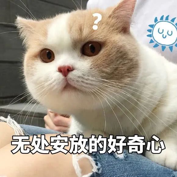 科学|自制的空气枪能有多大能量？| 正经玩