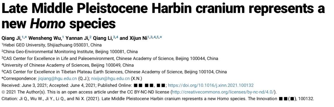 化石|中国发现智人最亲分支龙人