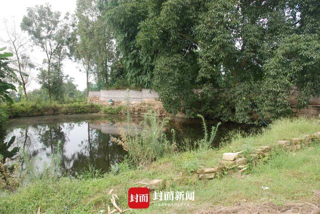 恐龙|四川自贡发现中国最小恐龙足迹“麻雀恐龙”脚印约10毫米比1角硬币还小