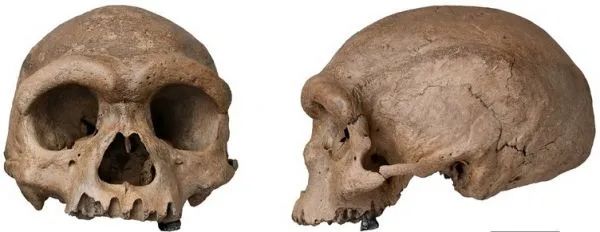 头骨|美媒：中国发现14.6万年前“龙人”