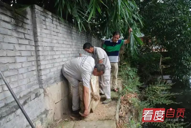 恐龙|自贡发现中国最小恐龙足印，一串串好可爱！