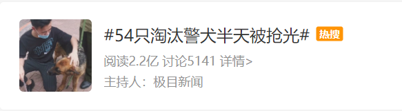 警犬|技术要够硬、性格要中庸——警犬：我太难了